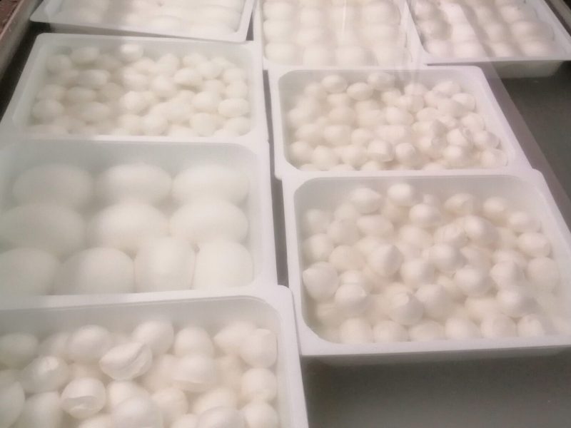 MOzzarelle (2)